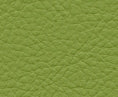 MAXWELL FABRICS  FAUX LEATHER  # 113 SCALLION   - CDA113