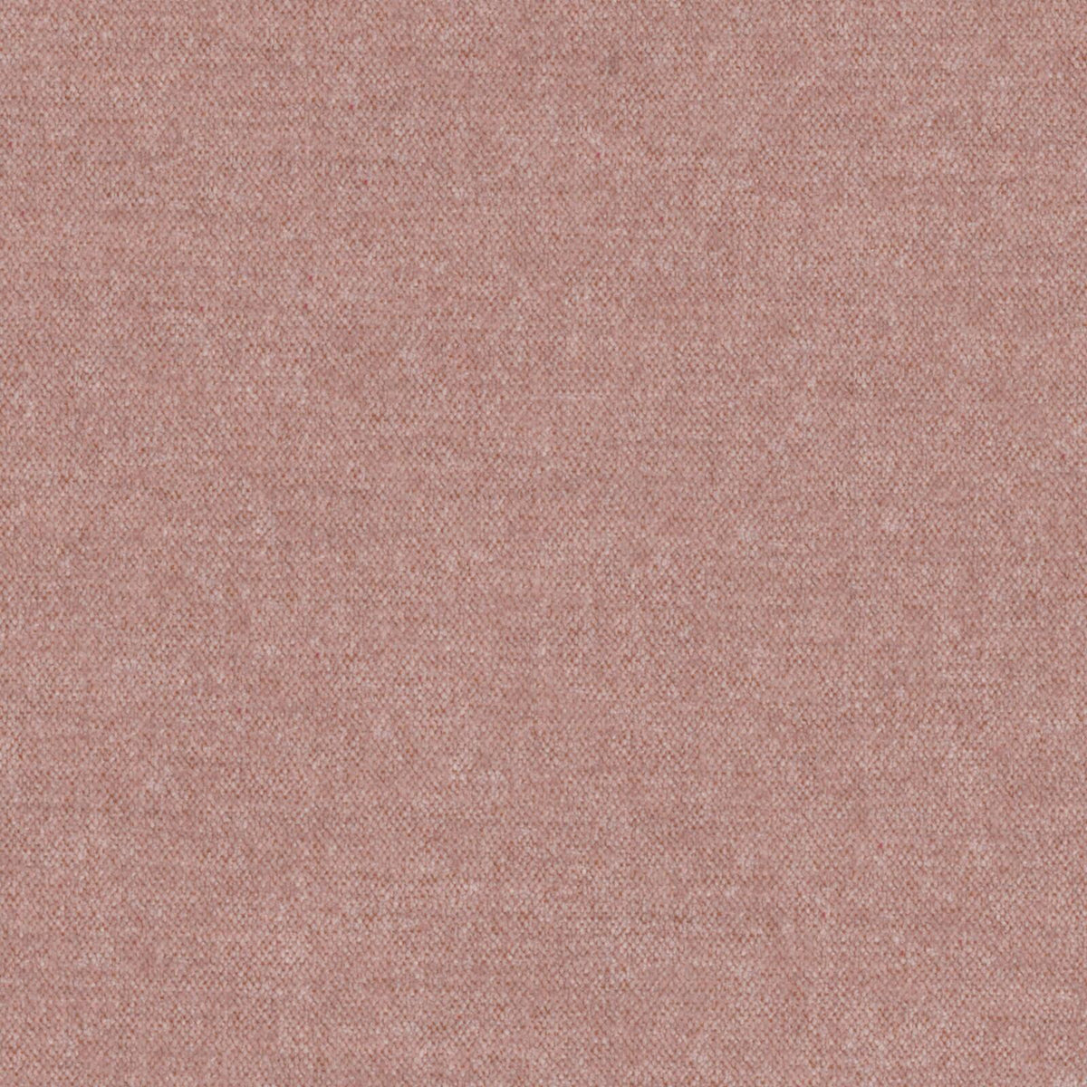 MAXWELL FABRICS  CHENILLES SOLIDS,TEXTURES  # 829 BOUDOIR   - AT9829