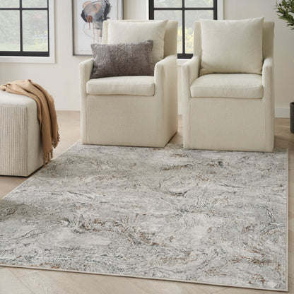 Gray marbled area rug in a neutral-toned setting, size 4' x 6'.