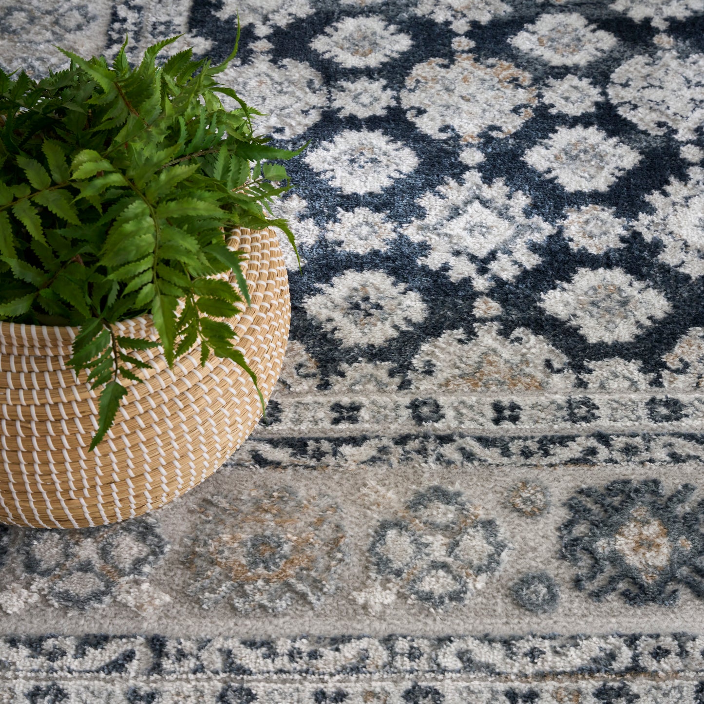 Navy and ivory geometric oriental rug with a green fern resting on it.