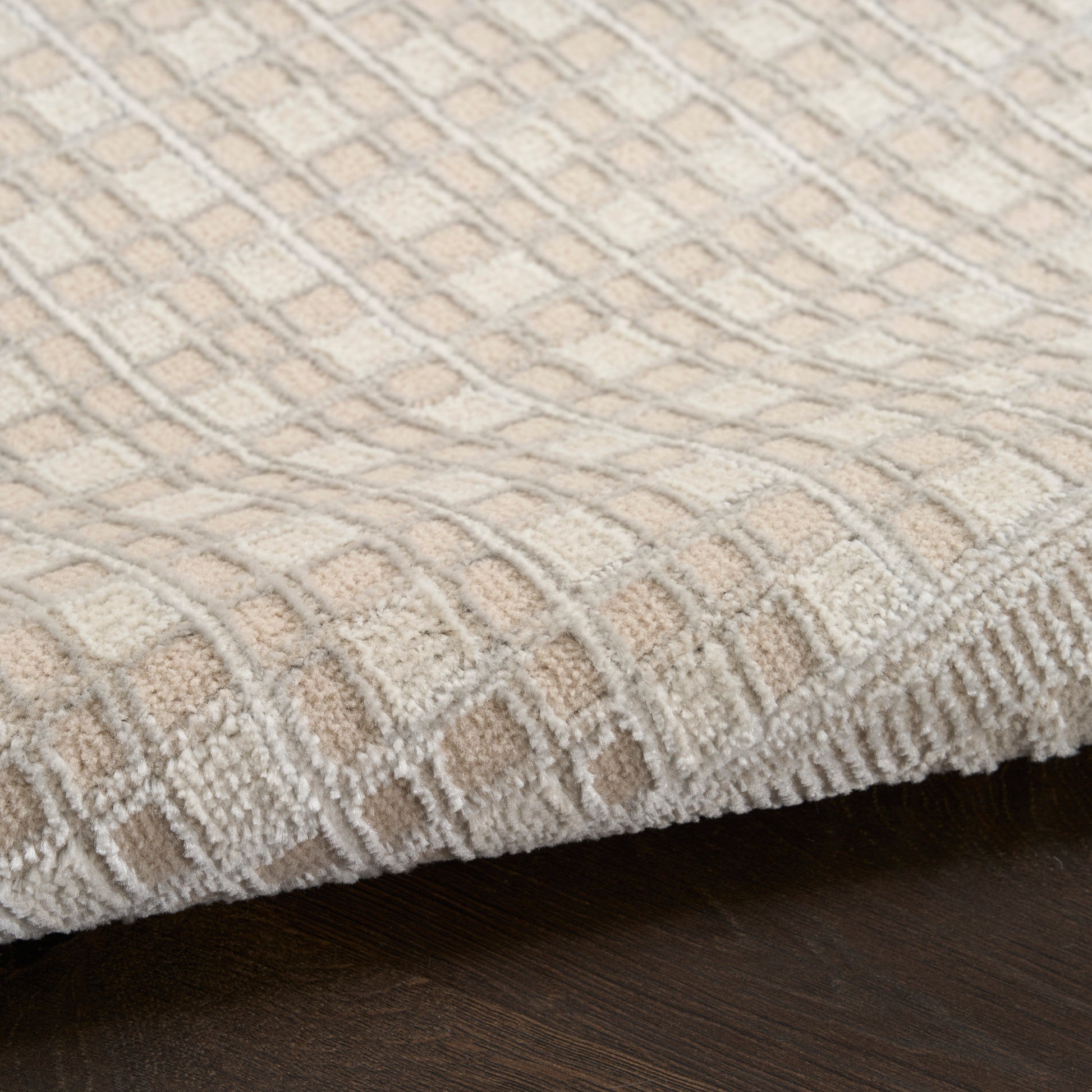 Beige textured area rug with cream geometric grid pattern and plush pile on dark wood floor.