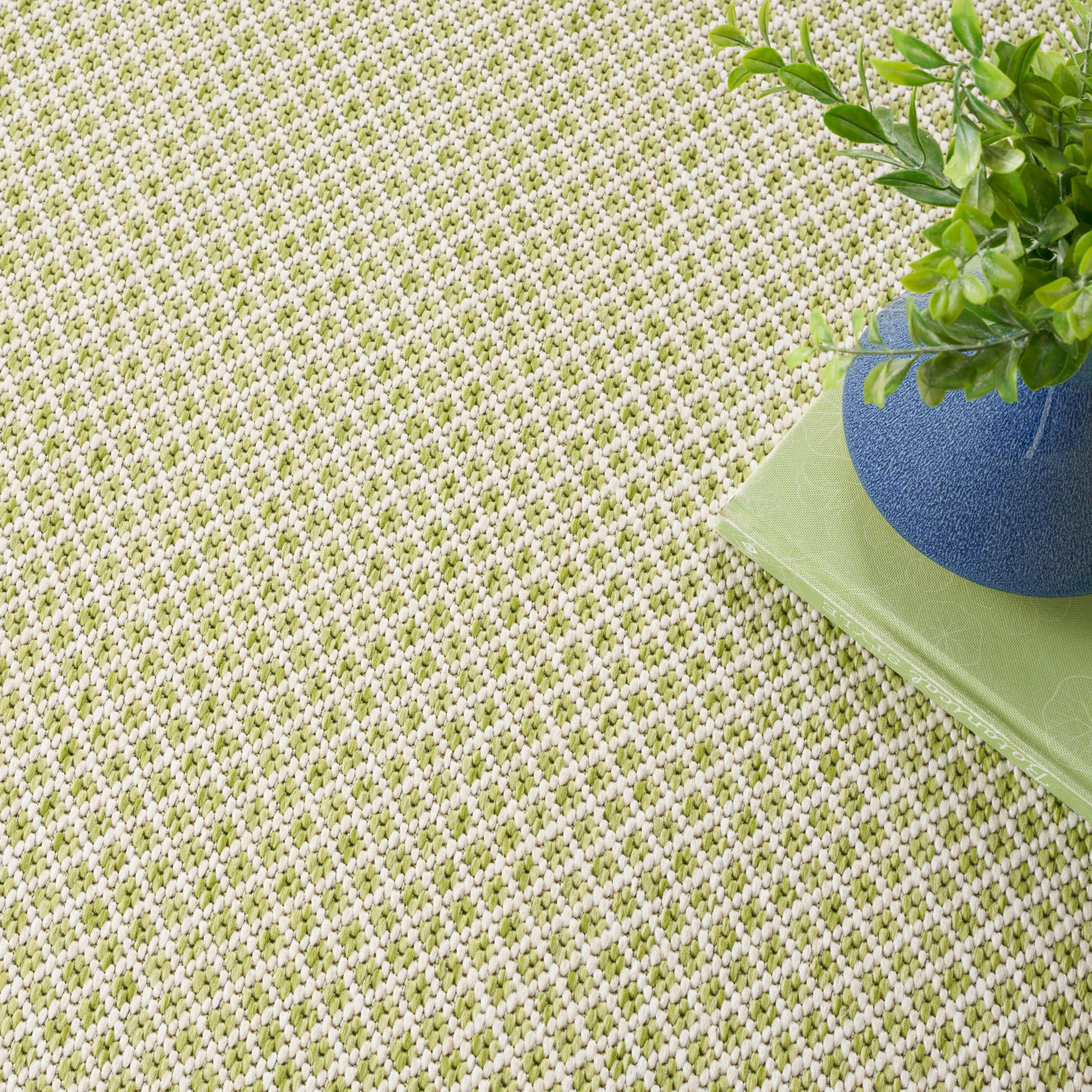 Olive-green and beige woven textured rug with a blue ceramic pot and green plant on a lime book.
