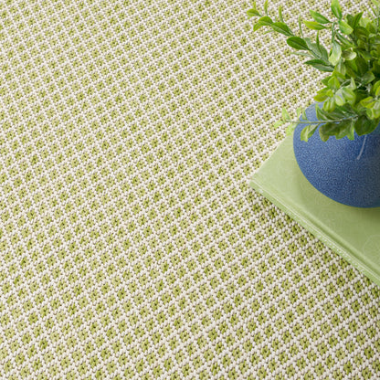 Olive-green and beige woven textured rug with a blue ceramic pot and green plant on a lime book.