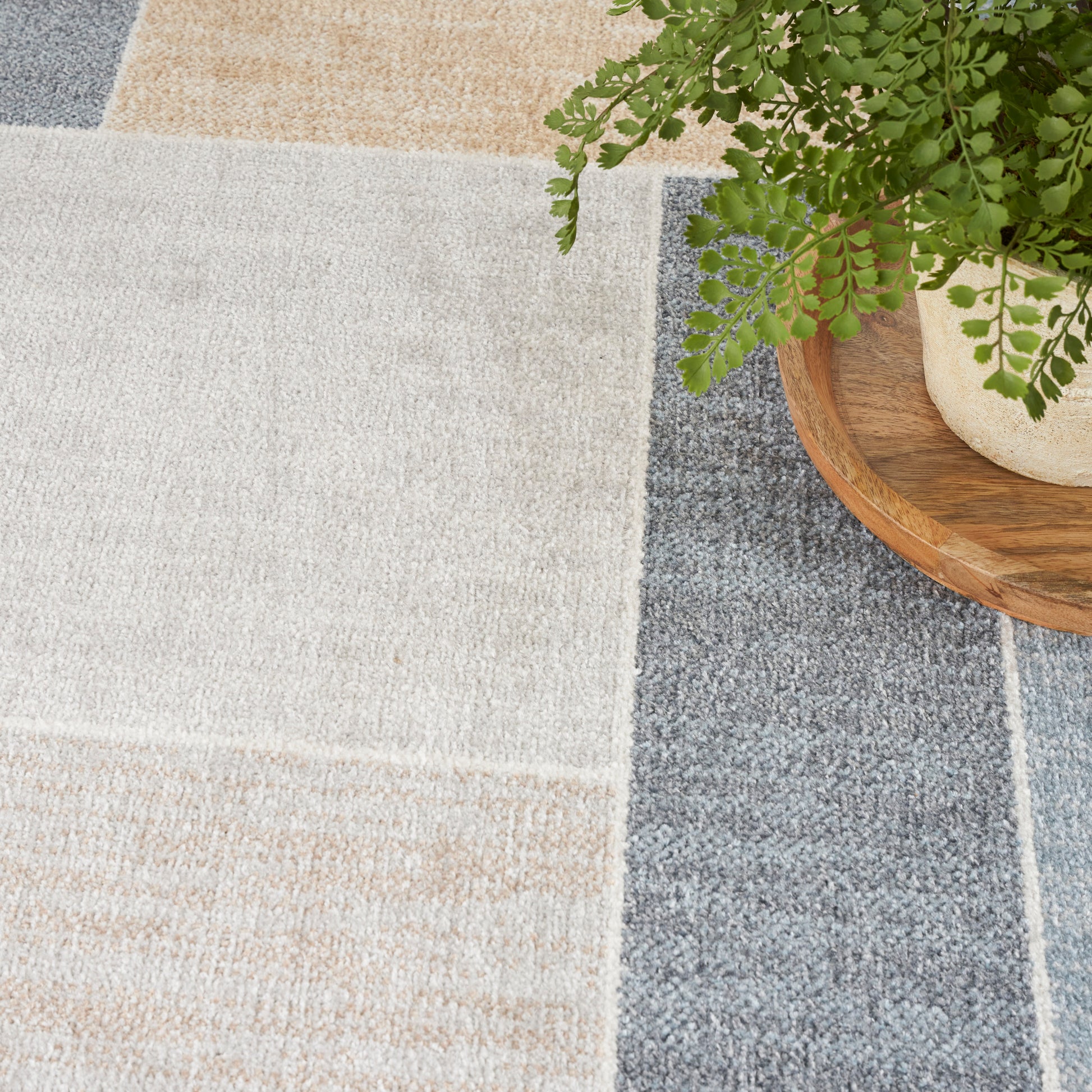 Patchwork area rug in beige, cream and blue-gray blocks; potted fern on a round wooden tray.