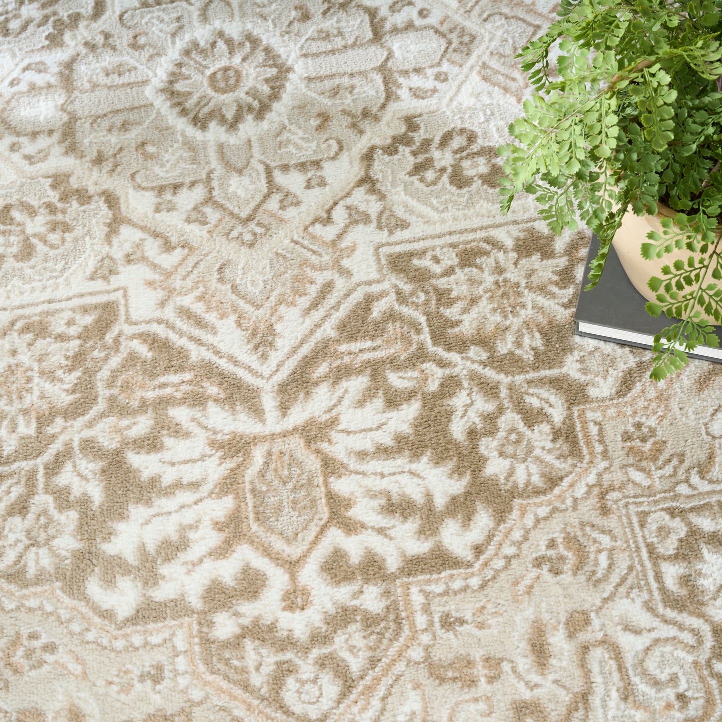 Beige and cream oriental rug with intricate floral and medallion pattern, beside a potted fern and stacked books.