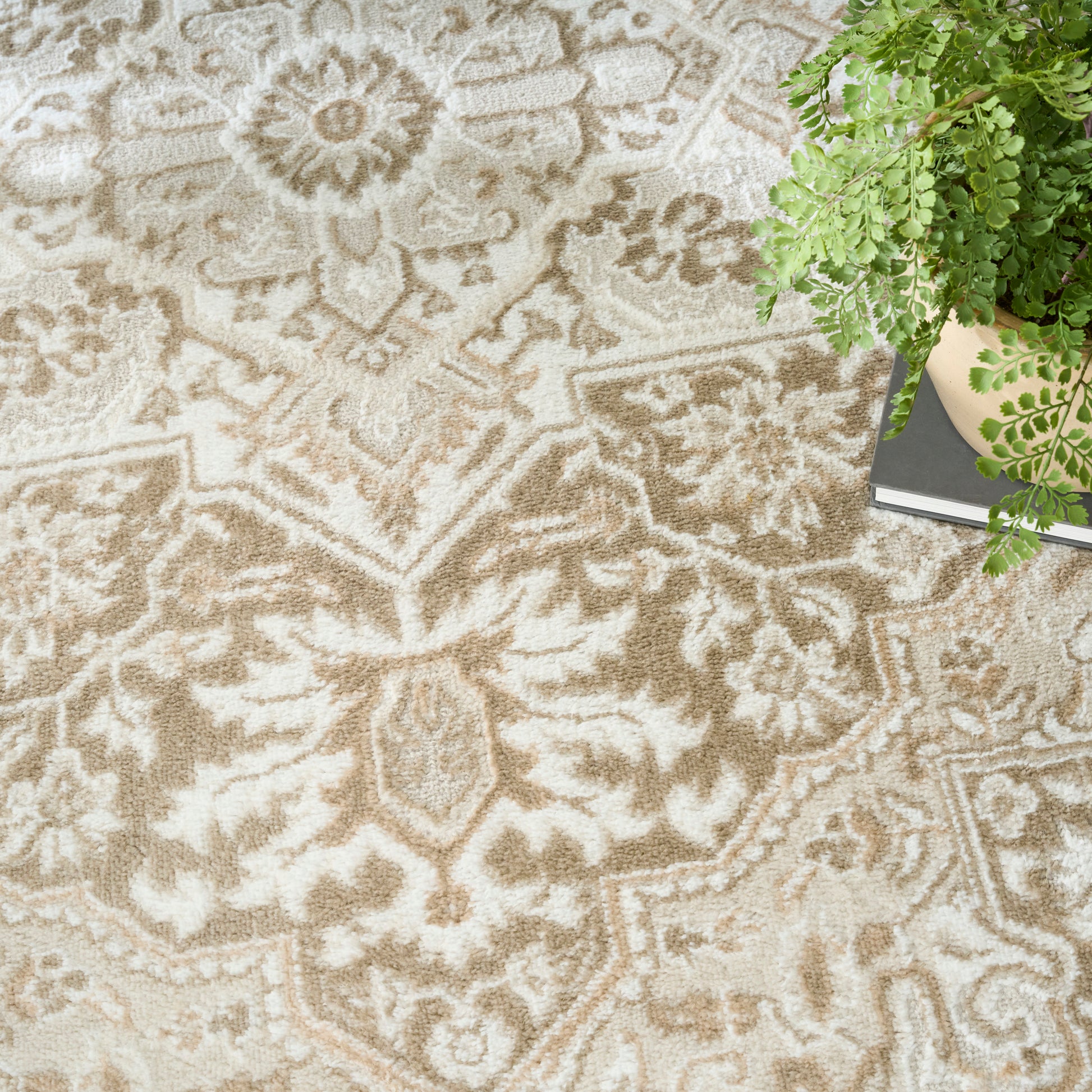Beige and cream oriental rug with intricate floral and medallion pattern, beside a potted fern and stacked books.