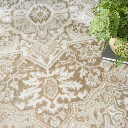 Beige and cream oriental rug with intricate floral and medallion pattern, beside a potted fern and stacked books.