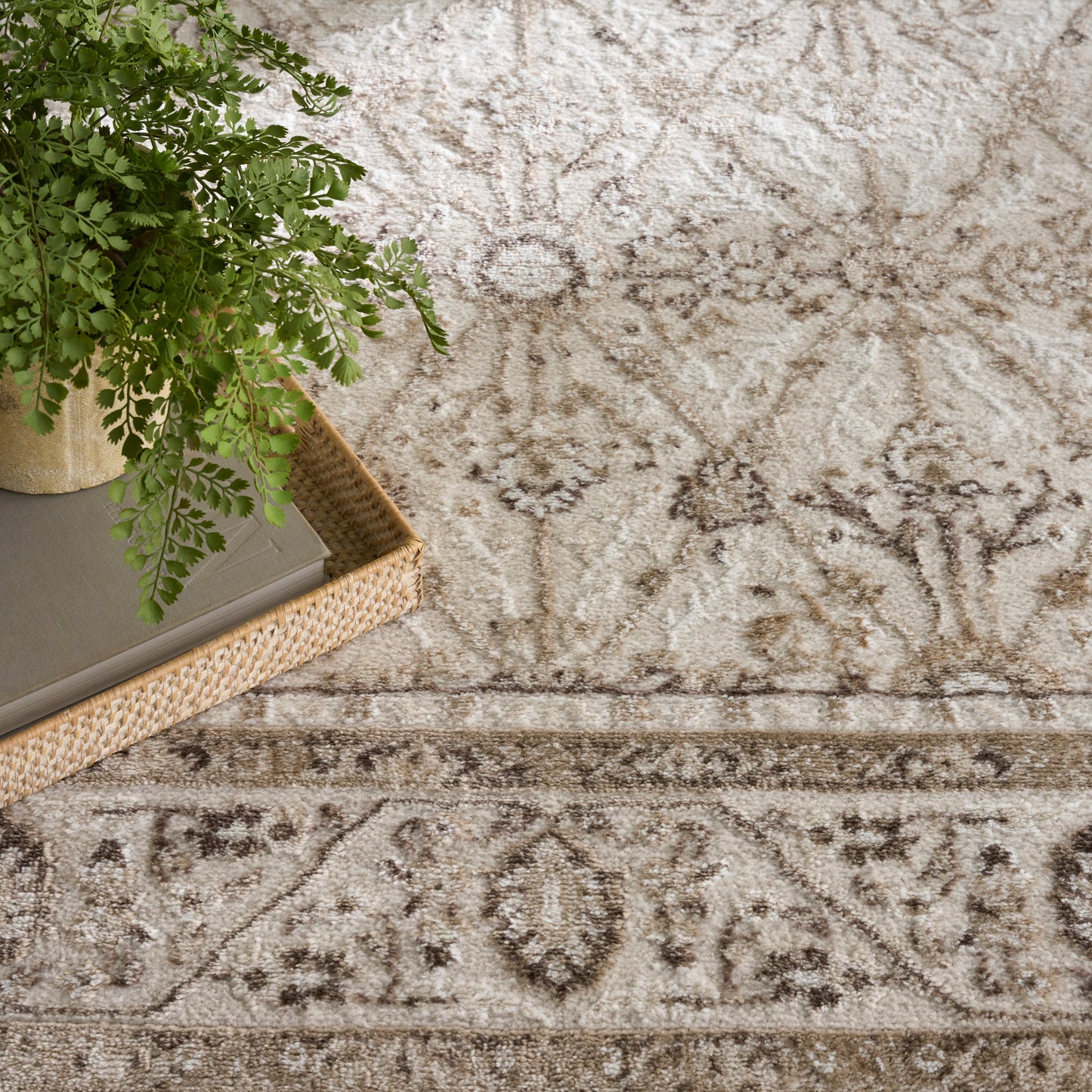 Green fern in a pot on a woven tray with a gray book atop, set on a beige ornate patterned rug.