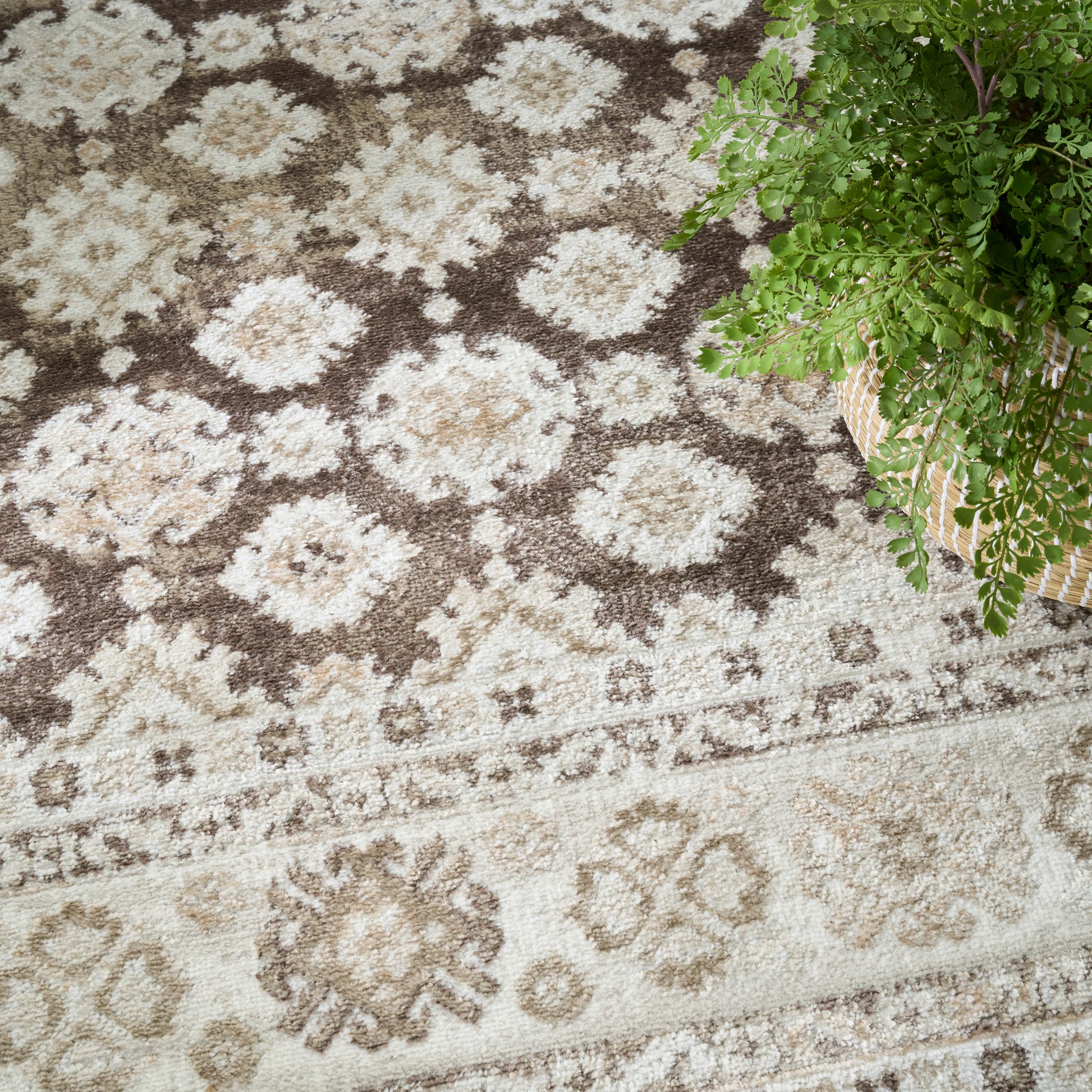 Beige-brown ornate area rug with floral medallions & border, textured pile, beside a green fern in a wicker basket.