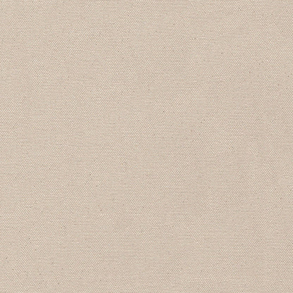 NICHOLASJOHN INC NJ-VASS Clear Solid   Fabric - NJ25-463