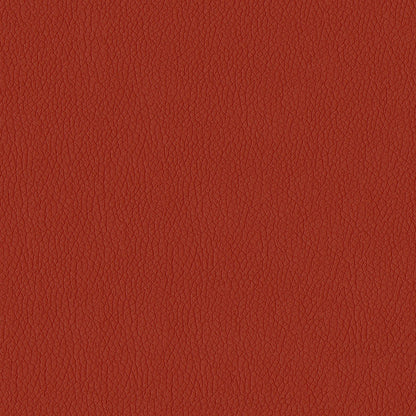 NICHOLASJOHN INC NJ-MIAMI Rust Solid   Fabric - NJ25-3514