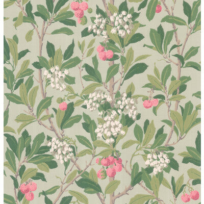 COLE & SON STRAWBERRY TREE PRINT--BOTANICAL & FLORAL- PINK & DUCK EGG   - 100/10048.CS.0