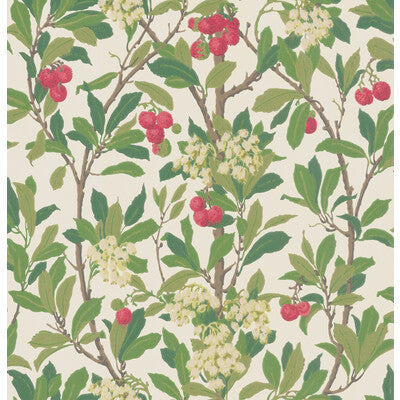 COLE & SON STRAWBERRY TREE PRINT--BOTANICAL & FLORAL- SCARLET & IVORY   - 100/10049.CS.0