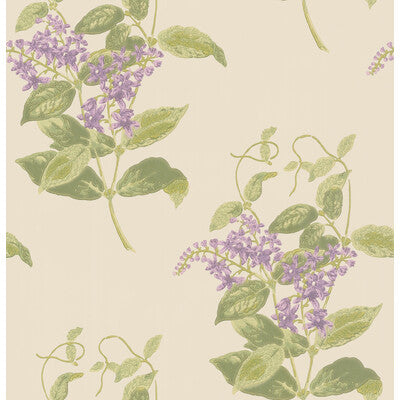 COLE & SON MADRAS VIOLET PRINT--BOTANICAL & FLORAL- OLIVE & LAVENDER   - 100/12056.CS.0