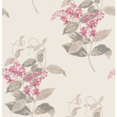 COLE & SON MADRAS VIOLET PRINT--BOTANICAL & FLORAL- PINK    - 100/12058.CS.0