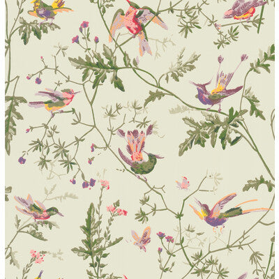 COLE & SON HUMMINGBIRDS PRINT--ANIMAL/INSECTS-BOTANICAL & FLORAL GREEN MULTI-COLOUR   - 100/14070.CS.0