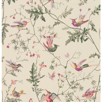 COLE & SON HUMMINGBIRDS PRINT--ANIMAL/INSECTS-BOTANICAL & FLORAL ORIGINAL MULTI-COLOUR   - 100/14071.CS.0