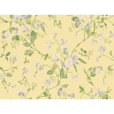 COLE & SON SWEET PEA PRINT--BOTANICAL & FLORAL- YELLOW   - 100/6029.CS.0