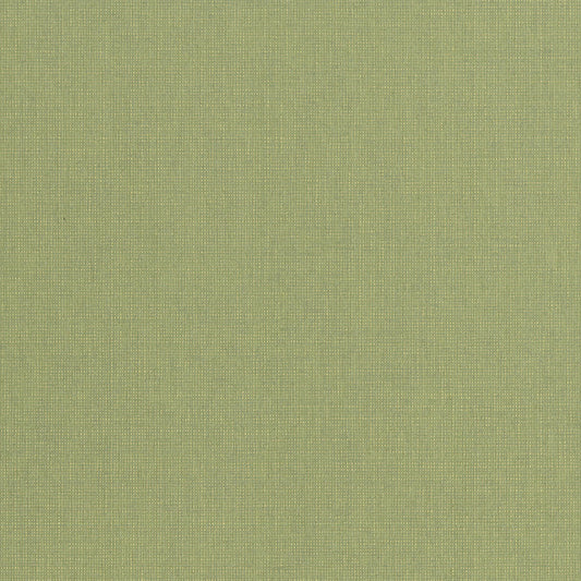 JF Fabrics -Wallpaper 10161 1 Wallpaper Green  Non-Woven - 8276901 W8731
