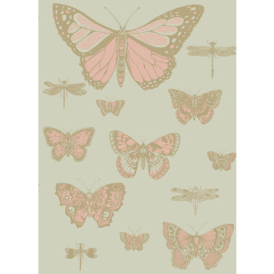 COLE & SON BUTTERFLIES & DRAGONFLIES PRINT---ANIMAL/INSECTS PINK ON OLIV   - 103/15063.CS.0