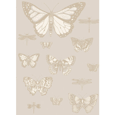 COLE & SON BUTTERFLIES & DRAGONFLIES PRINT---ANIMAL/INSECTS GREY   - 103/15064.CS.0