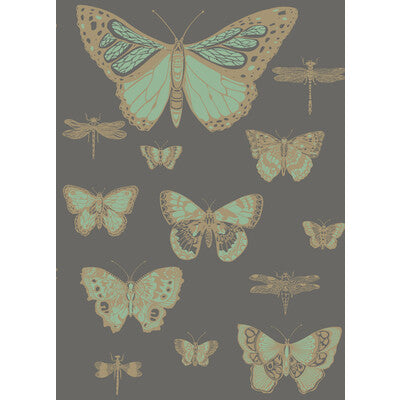 Cole & Son - Butterflies & Dragonflies Green on Char (103/15067-CS)