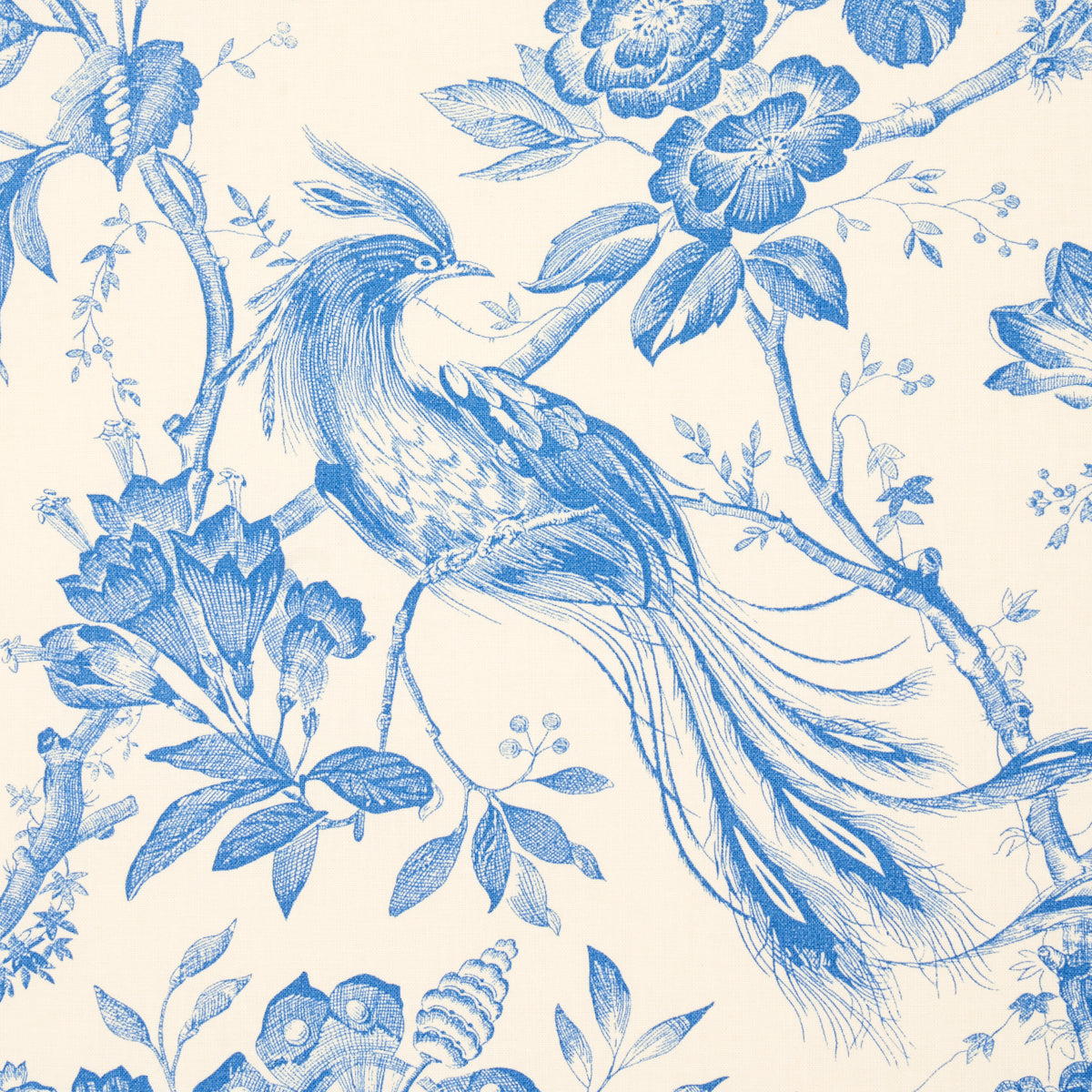 Blue ink botanical print featuring a birds-of-paradise bird perched on flowering branches with leaves.