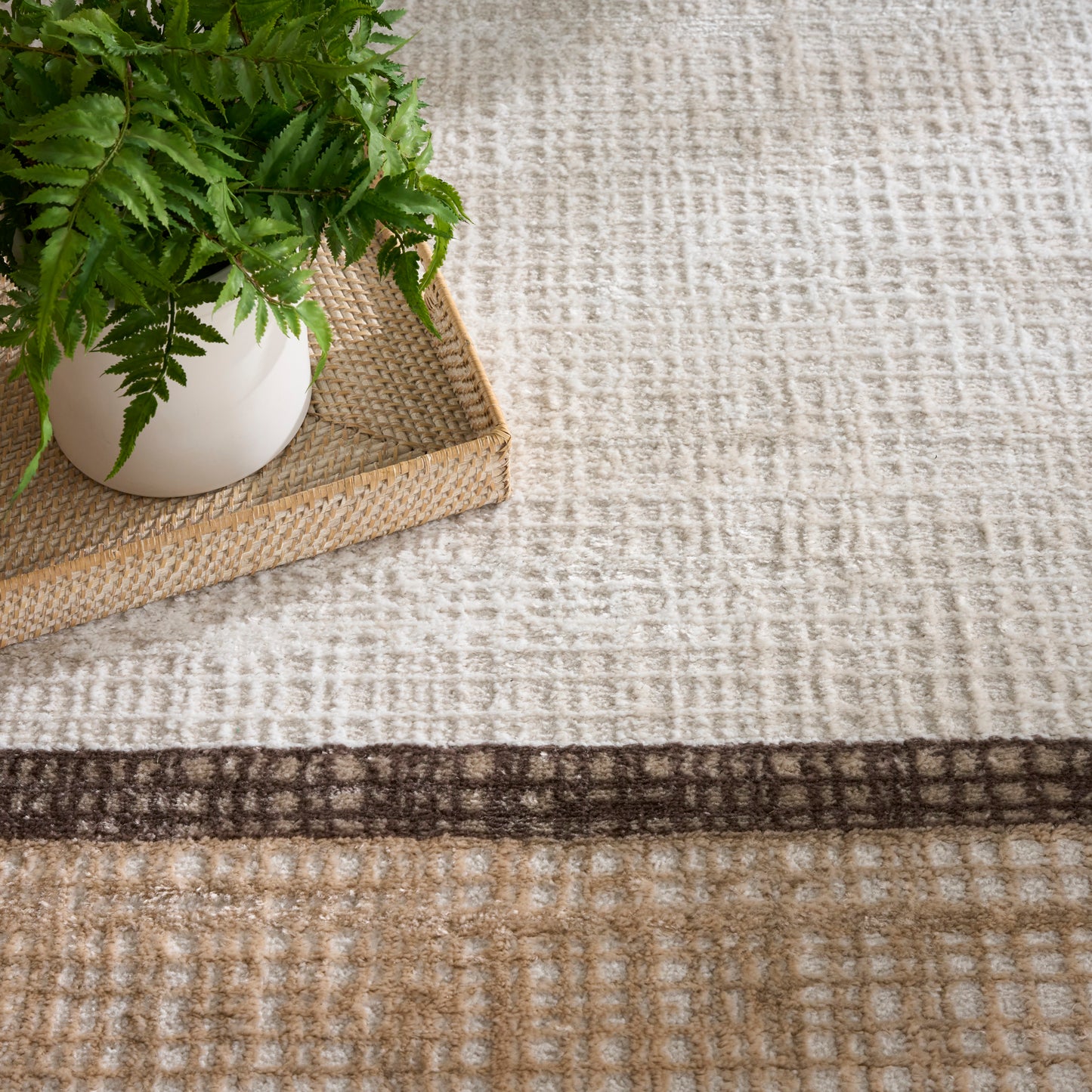 Green fern in a white ceramic pot on a woven tray atop a beige textured rug with brown border.