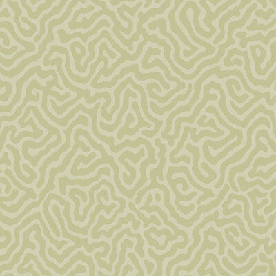 COLE & SON CORAL PRINT--- OLD OLIVE   - 106/5067.CS.0