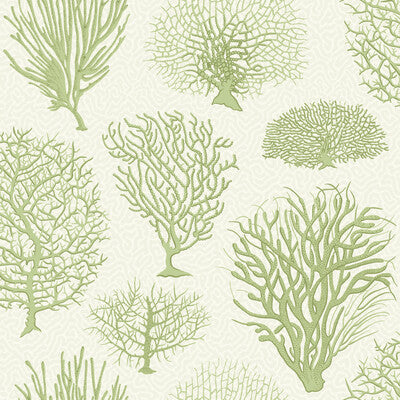 COLE & SON SEAFERN PRINT--- CELERY,LIGHT GREEN,   - 107/2008.CS.0