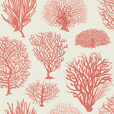 COLE & SON SEAFERN PRINT--- CORAL,ORANGE,   - 107/2011.CS.0