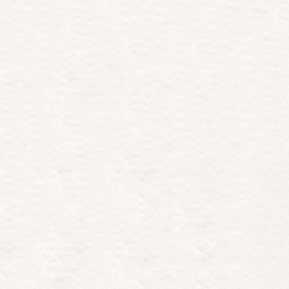 NICHOLASJOHN INC NJ-LUNN White Solid   Fabric - NJ25-2013