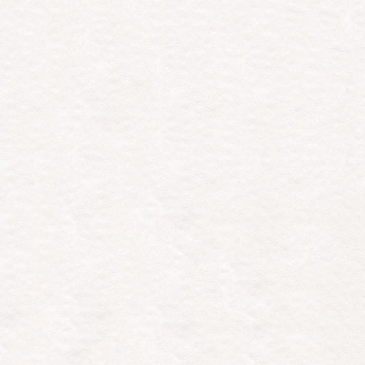 NICHOLASJOHN INC NJ-LUNN White Solid   Fabric - NJ25-2013