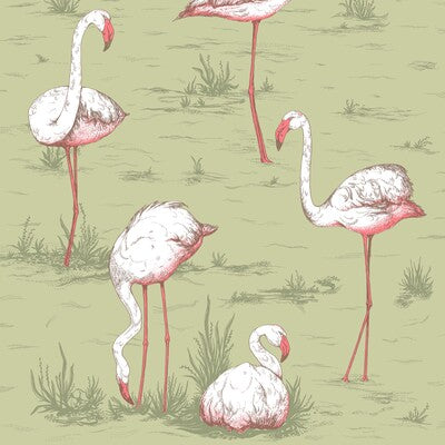 COLE & SON FLAMINGOS ---ANIMAL/INSECTS MULTI,GREEN,ORANGE   - 112/11038.CS.0