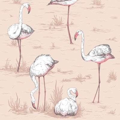 COLE & SON FLAMINGOS ---ANIMAL/INSECTS MULTI,PINK,CORAL   - 112/11039.CS.0