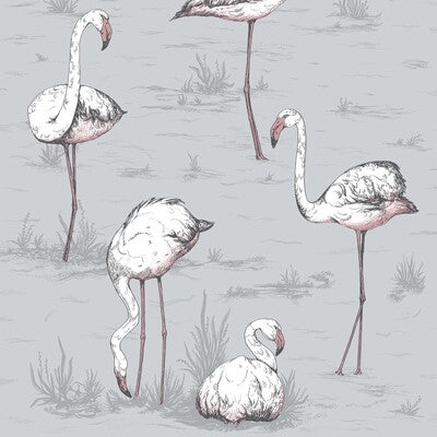 COLE & SON FLAMINGOS ---ANIMAL/INSECTS MULTI,GREY,   - 112/11040.CS.0