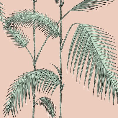 Cole & Son - Palm Leaves Plaster Pink/Mint (112/2005-CS) Wallpaper