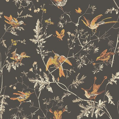 Cole & Son - Hummingbirds Charcoal/Ginger (112/4017-CS) Wallpaper