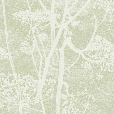 COLE & SON COW PARSLEY ---BOTANICAL & FLORAL CELERY,GREEN,OLIVE GREEN   - 112/8029.CS.0