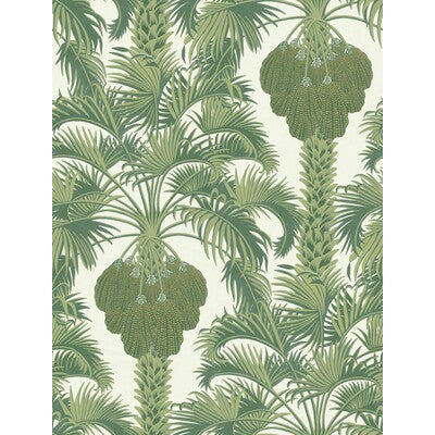 COLE & SON HOLLYWOOD PALM ---BOTANICAL & FLORAL GREEN,GREEN,   - 113/1004.CS.0