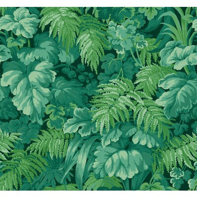 COLE & SON ROYAL FERNERY ---BOTANICAL & FLORAL GREEN,GREEN,   - 113/3009.CS.0