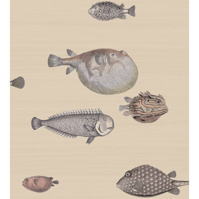 Cole & Son - Acquario Taupe (114/16033-CS) Wallpaper