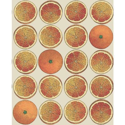 COLE & SON ARANCE PRINT--- ORANGE,ORANGE,   - 114/24047.CS.0