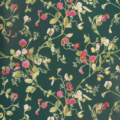 COLE & SON SWEET PEA PRINT--- MULTI,GREEN,RED   - 115/11033.CS.0