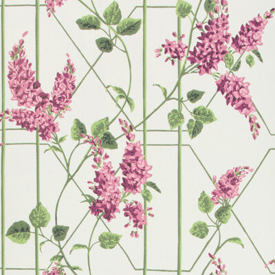 COLE & SON WISTERIA PRINT--- MULTI,PURPLE,GREEN   - 115/5013.CS.0