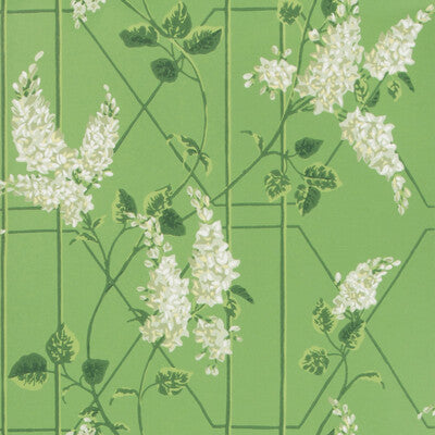 COLE & SON WISTERIA PRINT--- GREEN,GREEN,   - 115/5016.CS.0