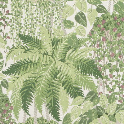 COLE & SON FERN PRINT--- OLIVE GREEN,GREEN,   - 115/7021.CS.0