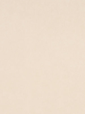 Robert Allen Novasuede | Peche  Upholstery     - 116534