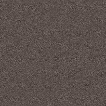 NICHOLASJOHN INC NJ-AREES Brown Solid   Fabric - NJ25-141