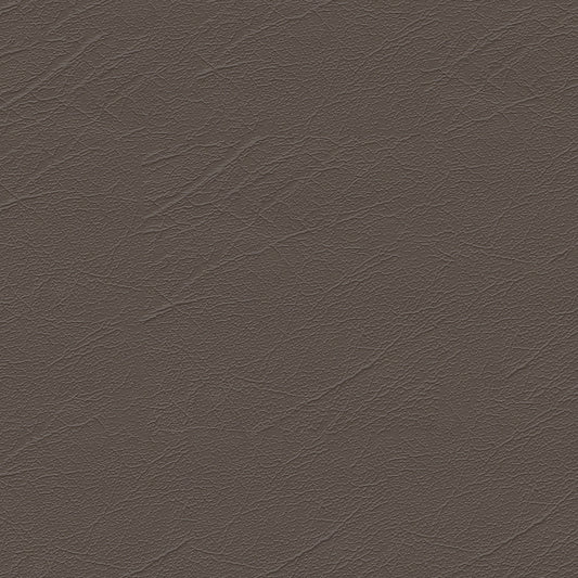 NICHOLASJOHN INC NJ-AREES Brown Solid   Fabric - NJ25-141